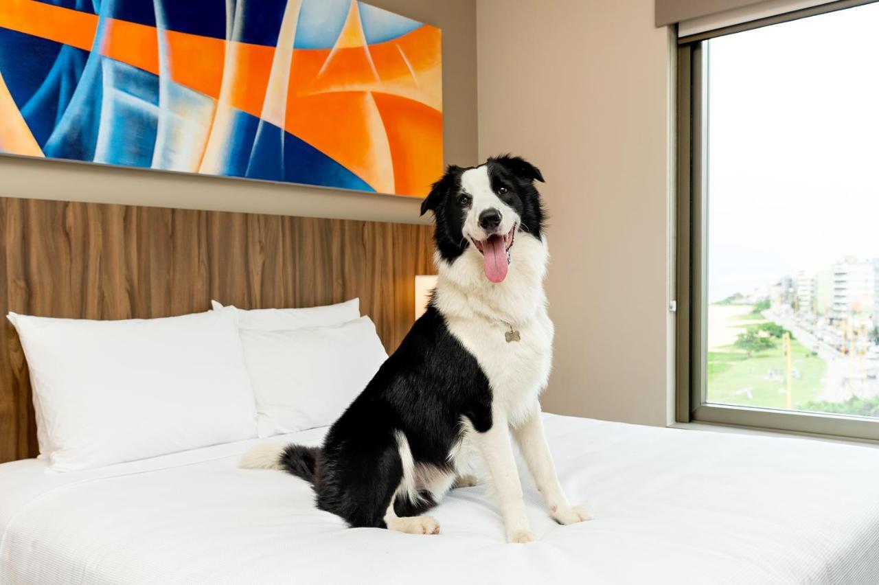Hyatt Place Macaé Extérieur photo